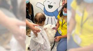 Cães resgatados se tornam terapeutas no GRAACC para apoio à crianças em tratamento oncológico