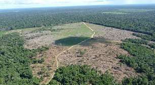 Desmatamento encarece energia no Brasil