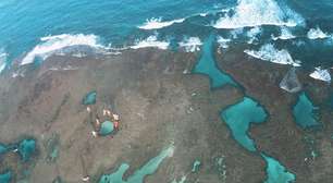 Costa dos Corais: maior recife costeiro do Brasil sofre com aquecimento e pressão ambiental