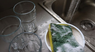 A estranha relação que a sua esponja de cozinha pode ter com dor de garganta e diarreias: especialista explica