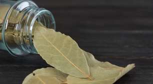 Quer atrair dinheiro? Veja o ritual com louro e canela para prosperidade