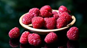 Framboesa: pequena no tamanho, gigante em sabor e benefícios