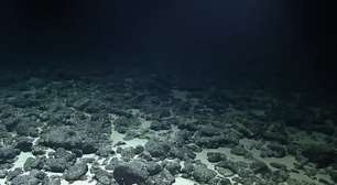 Mistério! Fileira de buracos alinhados a mais de 2 mil metros de profundidade no oceano intriga cientistas