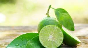 Limão: 10 benefícios impressionantes para a saúde e formas criativas de usá-lo