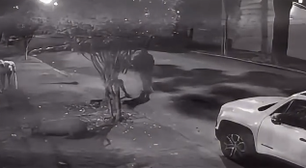 Capivara é agredida por grupo de 8 homens na Zona Norte do Rio