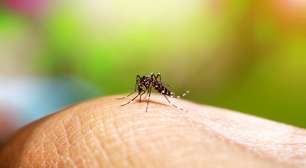 Cientistas descobrem "mini motores" dentro do parasita da malária