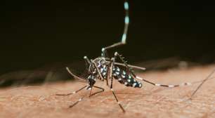 Agência francesa de medicamentos lista cerca de 20 efeitos colaterais graves da vacina contra o chikungunya