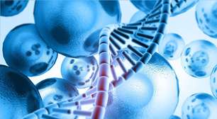 Mercado em alta: medicina regenerativa como protetora da vida ativa e longeva