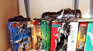 Cupins: como evitar infestação e eliminar os diferentes tipos