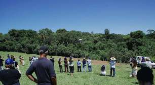 Ambev plantou 3 milhões de árvores em áreas de estresse hídrico