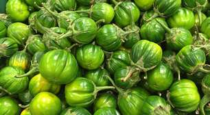 Como tirar o amargor do jiló e da berinjela em minutos