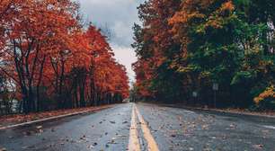 Outono 2026: o que acontece com o seu corpo (e como se preparar segundo a Medicina Chinesa)