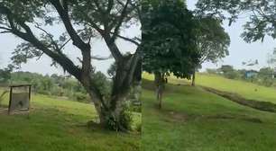 Vídeo mostra avião militar perdendo altitude antes de cair na Colômbia