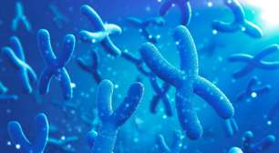 A razão pela qual os homens vivem menos que as mulheres pode estar na perda silenciosa do cromossomo Y