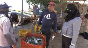 Siri-azul, a iguaria que a Venezuela teve que parar de exportar aos EUA: 'Muita gente ficou na rua'