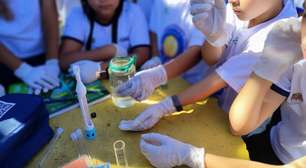 Só 3% dos rios da Mata Atlântica têm qualidade de água boa