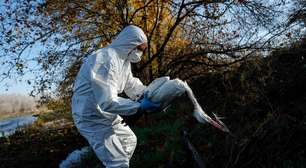 Homem da Lombardia vira 1º caso humano de gripe aviária na Itália
