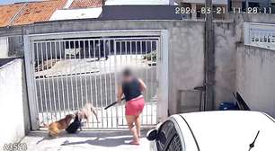 Pitbull foge e ataca cães que estavam dentro de outras casas