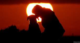 Ciência identifica cão mais antigo a ter vivido com humanos