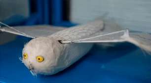 Pesquisadores chineses desenvolvem drones que batem asas em vez de usar hélices