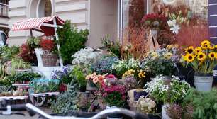 Giuliana Flores prevê mais de 50 novas franquias em 2026