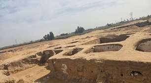 Fóssil no Egito pode mudar origem dos ancestrais humanos, diz estudo