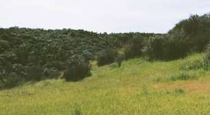 Taylor Lautner, o Jacob de 'Crepúsculo', anuncia que será pai pela 1ª vez