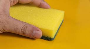 Parece limpa, mas não está: quando trocar a bucha de cozinha? Descubra