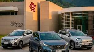 Palmeiras, Flamengo e Bahia acabam com hegemonia das Bets no futebol