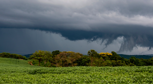 Por que o Paraná se tornou um 'corredor de tornados'? Conheça os casos mais graves