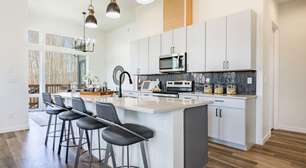 Formigas invadindo a cozinha? Veja como acabar com isso de vez