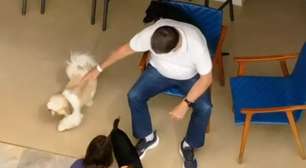 Após alta, Bolsonaro chega em casa e é flagrado brincando com os cachorros junto com Michelle