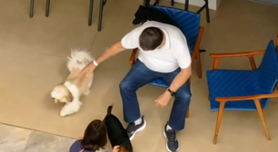 Bolsonaro chega em casa após receber alta e é flagrado com Michelle brincando com cachorros