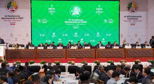 Membros da OMC ignoram oposição para adotar primeiras regras básicas de comércio digital do mundo