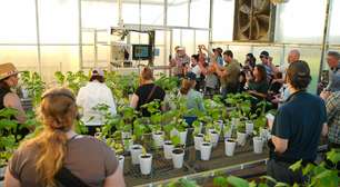 Quando o mundo pisa no campo brasileiro