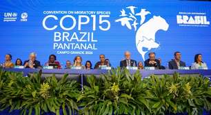 ONU: 40 novas espécies migratórias receberão proteção internacional