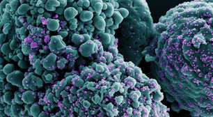 BA.3.2: O que se sabe sobre nova variante da Covid, encontrada em 23 países?