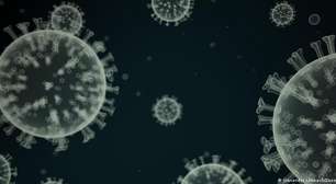 Furto de vírus na Unicamp: mais de 20 cepas foram levadas