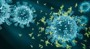 BA.3.2: Tudo o que você precisa saber sobre a nova variante da Covid