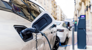 Carros movidos à casca de fruta? Cientistas chineses descobrem uso sustentável para a pitaya