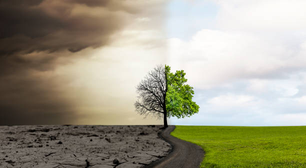 Mudanças climáticas podem desacelerar o desenvolvimento intelectual