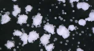 Filtro desenvolvido por estudante retém microplásticos