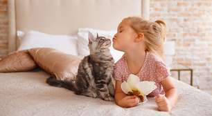 Pets e imunidade: por que crianças adoecem menos com animais