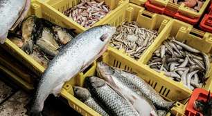 Nem atum, nem salmão: este é um dos peixes mais saudáveis e completos, além de barato