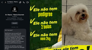 Empresa de pipoca vira alvo de ataques após pedir que cachorro mude nome no Instagram; entenda