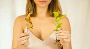 Estamos no melhor momento do ano para transformar sua energia - entenda por quê