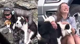 Vídeo mostra reencontro emocionante de tutora com cachorrinha que passou uma semana perdida em floresta