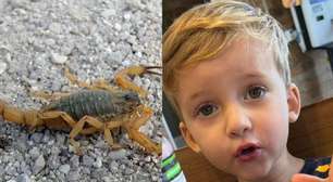 Pai vê negligência e falha em atendimento ao filho de 3 anos morto após picada de escorpião: 'Gritava de dor'