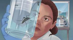 Enquanto casos aumentam no mundo, América do Sul avança no combate à dengue