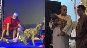 Cachorro 'defende' Jesus durante peça de A Paixão de Cristo e momento viraliza